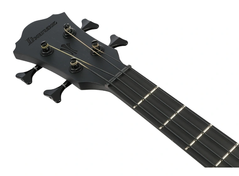 Ibanez AEGB420-BOT 