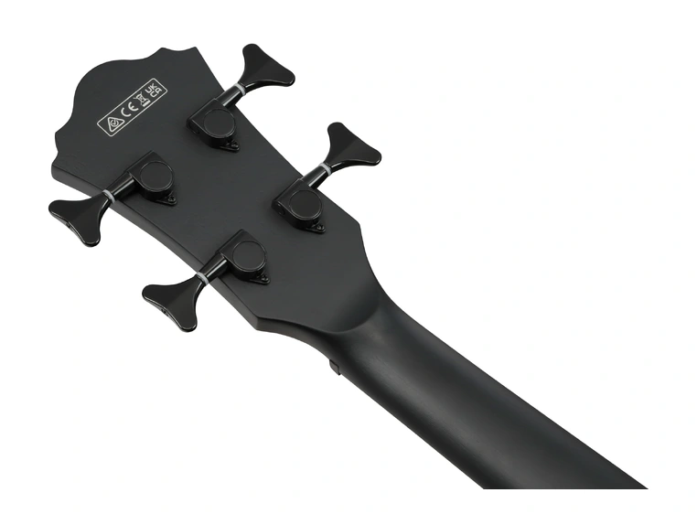 Ibanez AEGB420-BOT 