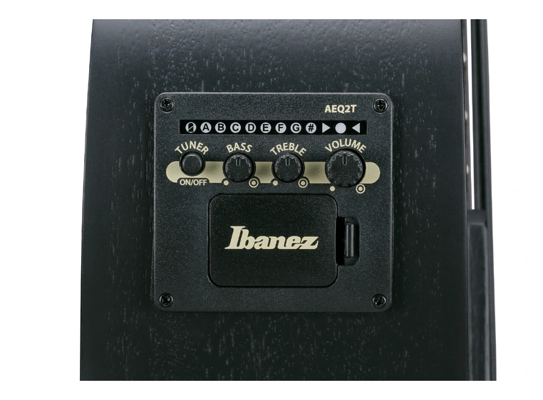 Ibanez AEGB420-BOT 