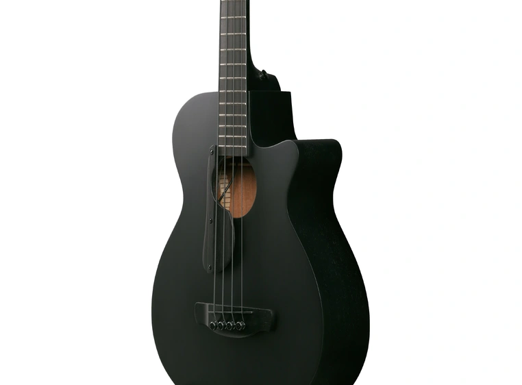 Ibanez AEGB420-BOT 