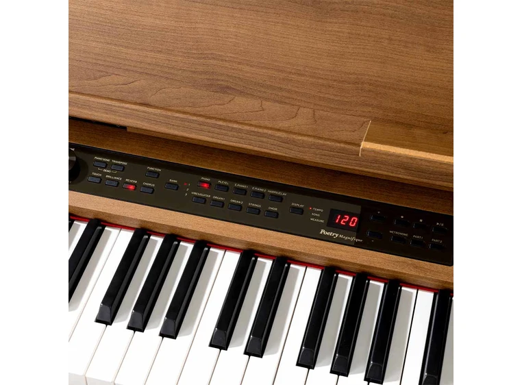 Korg Poetry Magnifique 