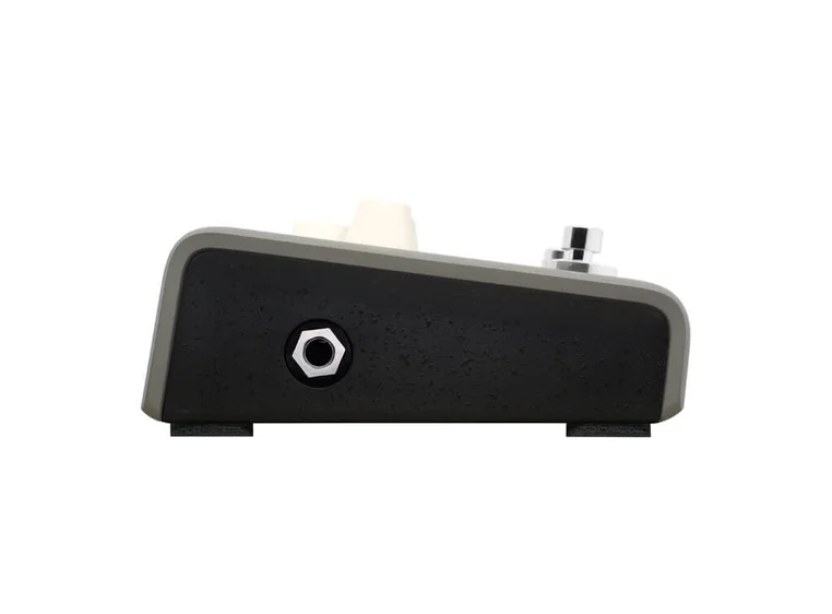 L.R.Baggs Voiceprint DI Pedal 