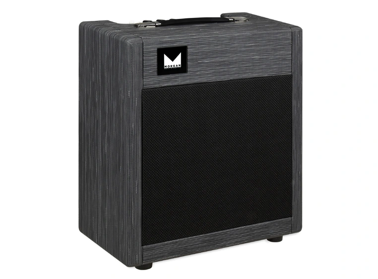 Morgan Amps PR12 Gitarcombo Twilight 