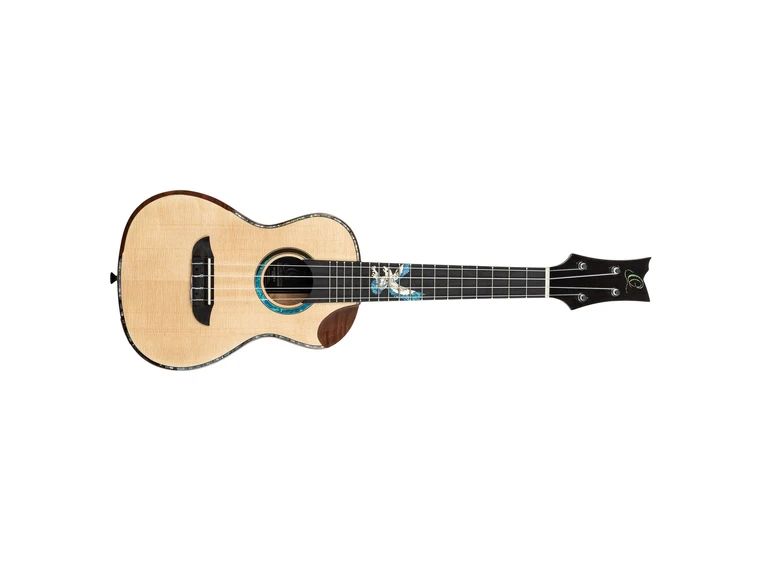 Ortega EAGLESUITE-U Private Room Eagle Suite, Concert size ukulele 