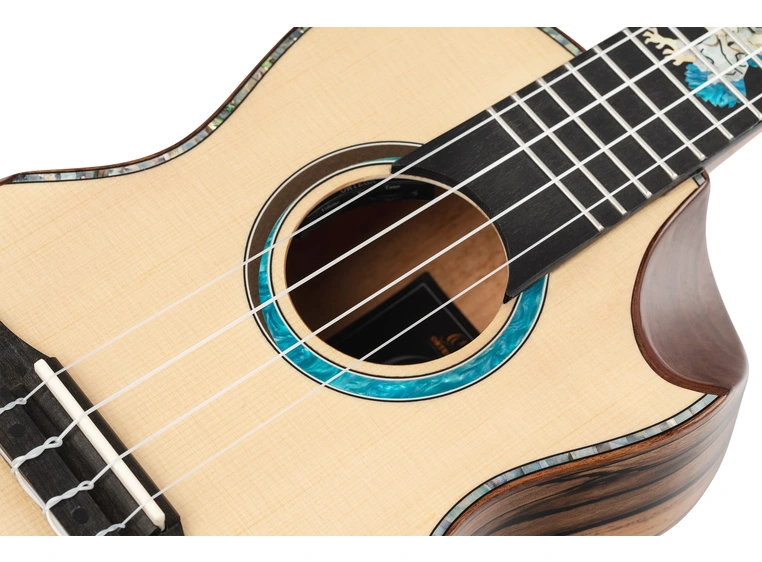 Ortega EAGLESUITE-U Private Room Eagle Suite, Concert size ukulele 