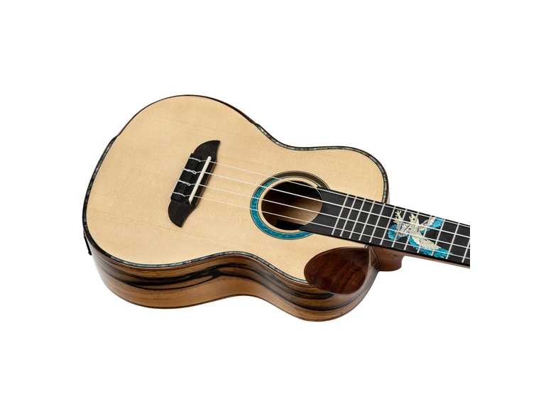 Ortega EAGLESUITE-U Private Room Eagle Suite, Concert size ukulele 