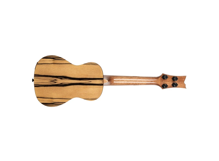 Ortega EAGLESUITE-U Private Room Eagle Suite, Concert size ukulele 