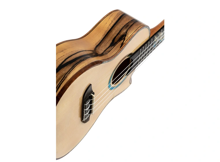 Ortega EAGLESUITE-U Private Room Eagle Suite, Concert size ukulele 