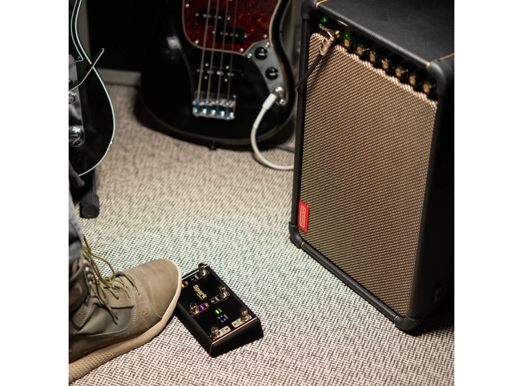 Positive Grid Spark Control X 