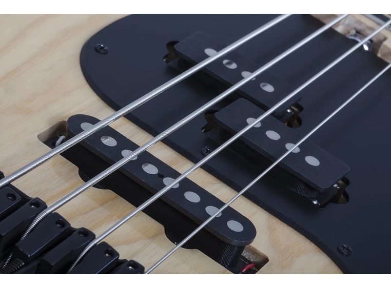 Schecter Justin Beck V ANI GNAT 
