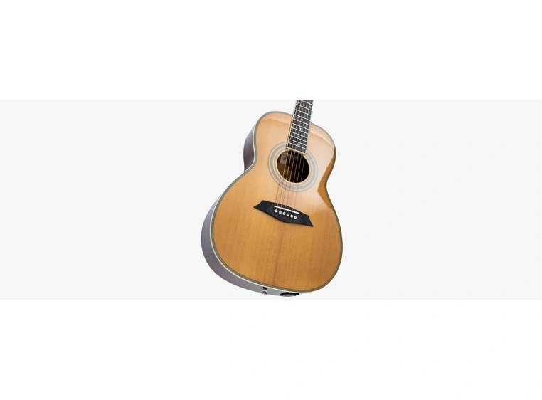 Sire Larry Carlton A4 Parlorgitar Natural 