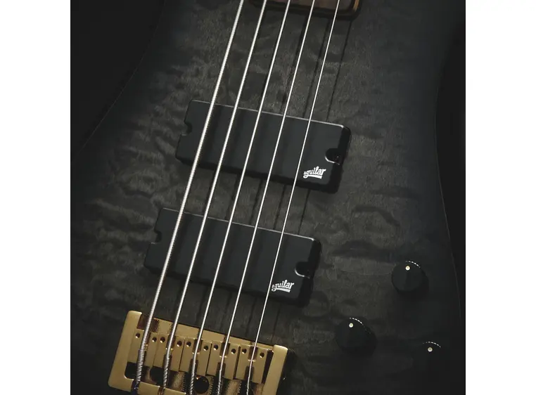 Spector Icon NS5 Black Stain 