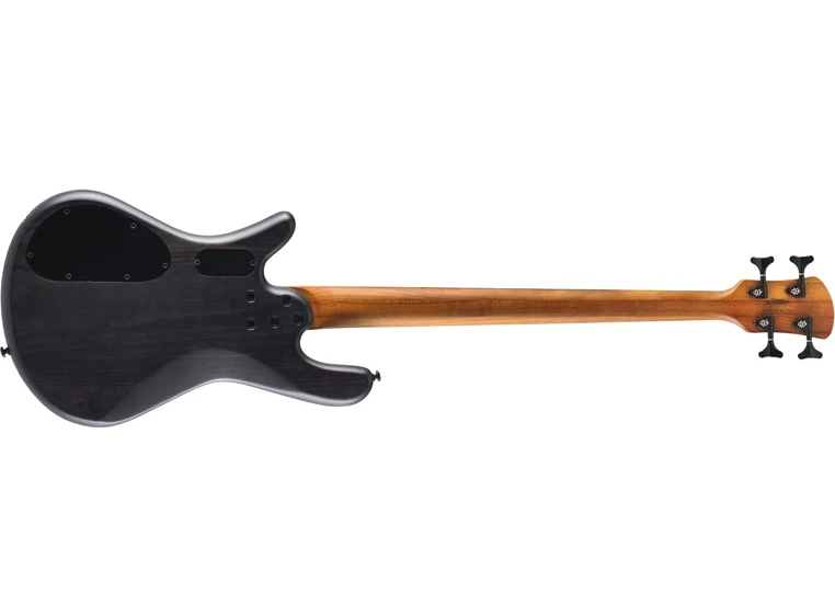 Spector NS Pulse II 4 Black Stain Matte 