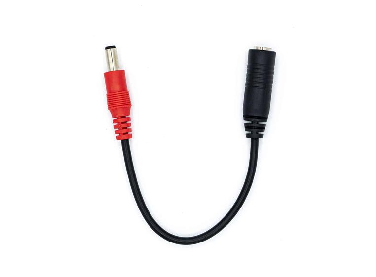 Strymon Polarity Reverse Cable 2.1mm-2.5mm straight 6"/15cm