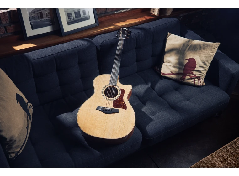 Taylor 314ce Studio Natural 