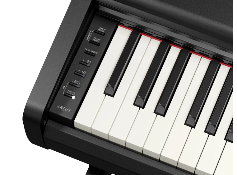 Yamaha YDP-146B Black 
