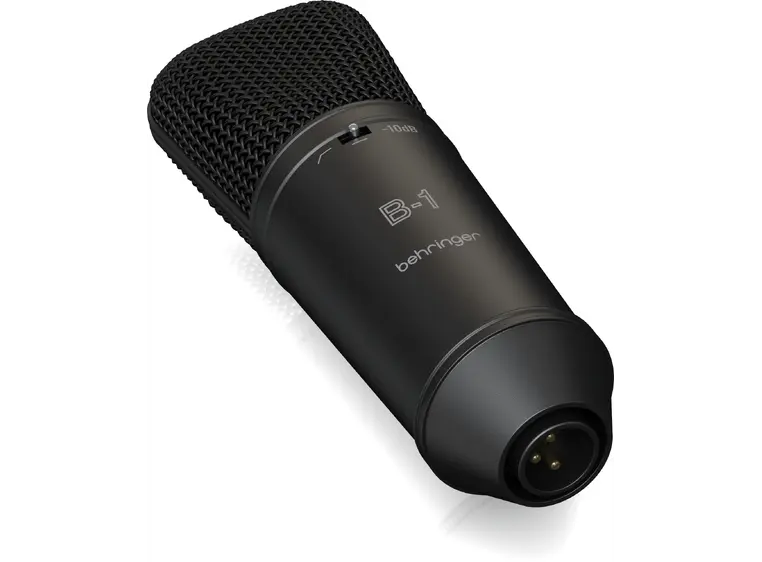 Behringer B-1 Dark Edition 