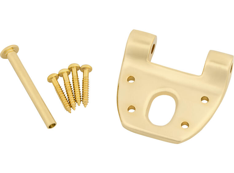 Bigsby Extra Short Hinge w/Hinge Pin and Screws, Gold