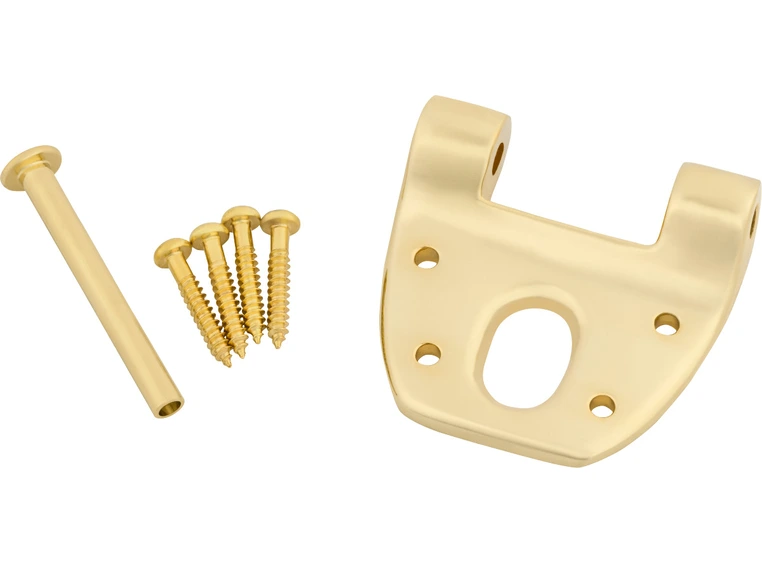 Bigsby Extra Short Hinge w/Hinge Pin and Screws, Gold 