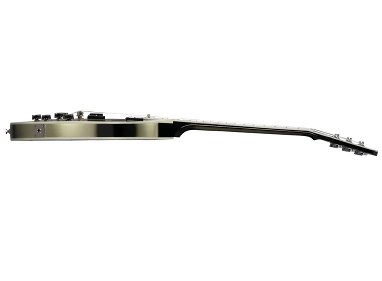 Epiphone Les Paul Custom Adam Jones J. Heffernans Self Portrait Not Dead Yet 