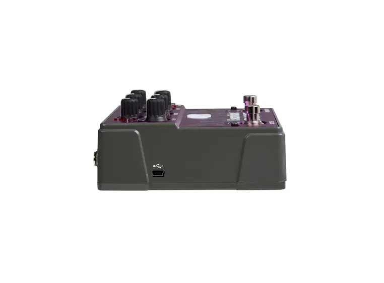 Eventide Rose Delay Pedal 