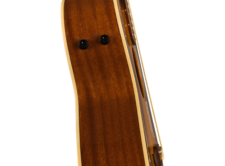 Fender Newporter Player Sunburst, Gold PG, Walnut FB 