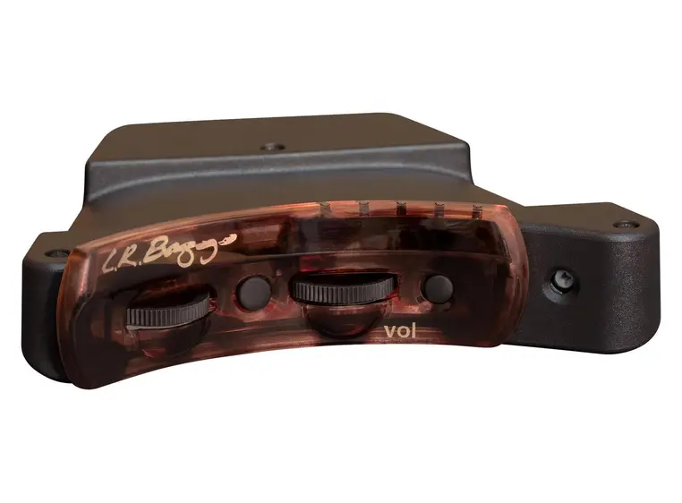 L.R.Baggs Session VTC 