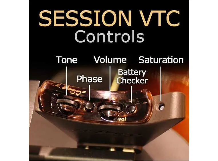 L.R.Baggs Session VTC 