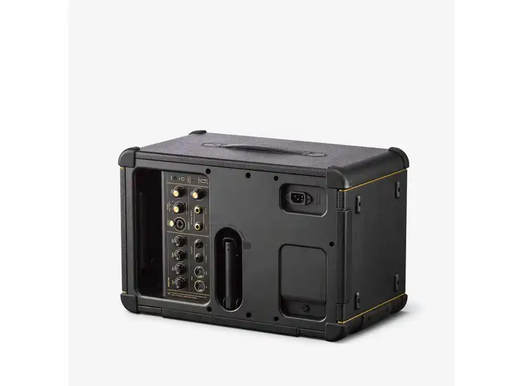 Positive Grid Spark LIVE 