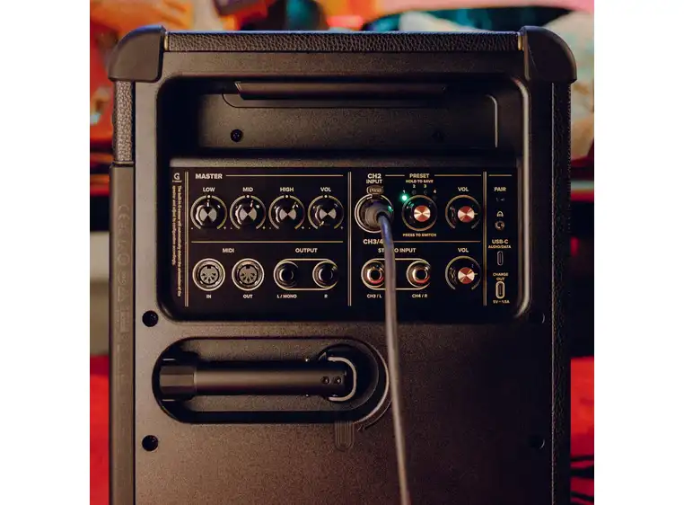 Positive Grid Spark LIVE 