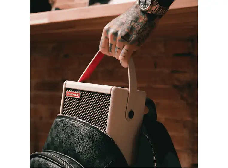 Positive Grid Spark Mini Pearl 