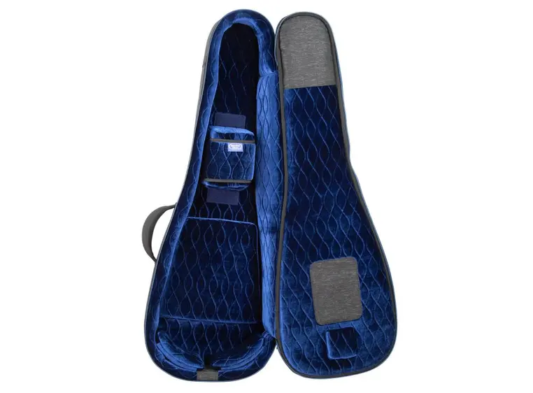 Reunion Blues Expedition LP-style Electric Guitar Case 