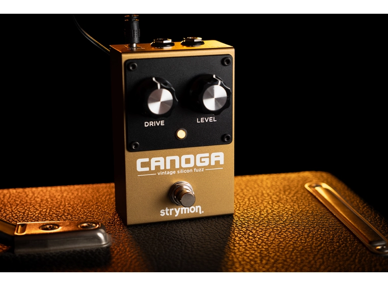 Strymon Canoga Vintage silicon fuzz 
