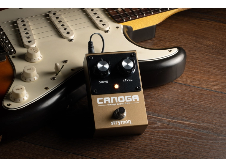 Strymon Canoga Vintage silicon fuzz 