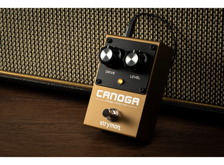 Strymon Canoga Vintage silicon fuzz 