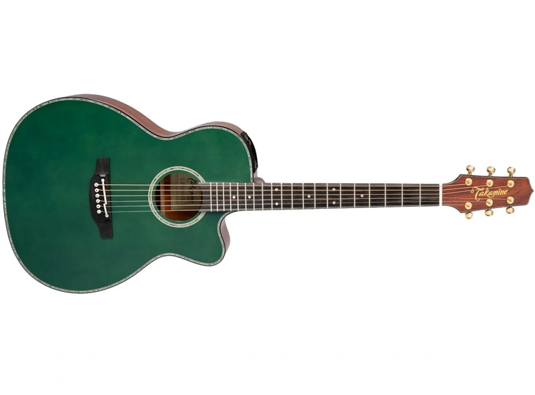 Takamine LTD2025 
