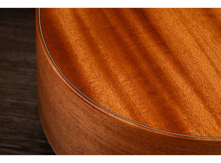 Taylor GS Mini-e Mahogany 