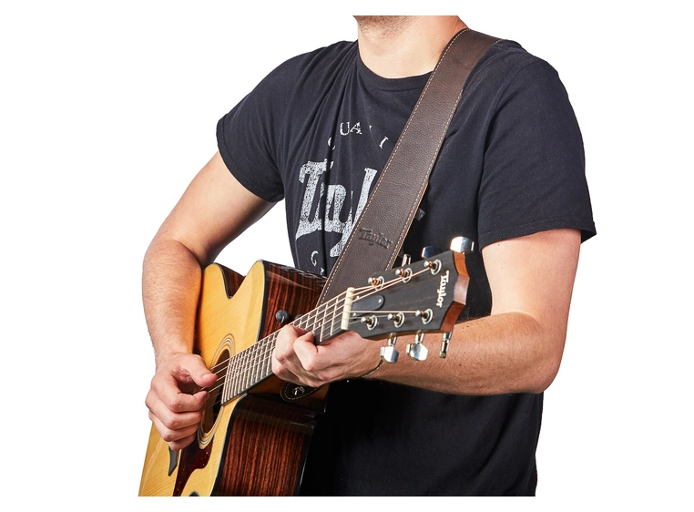 Taylor Strap, Chocolate Brown Leather Suede Back, 2.5" 