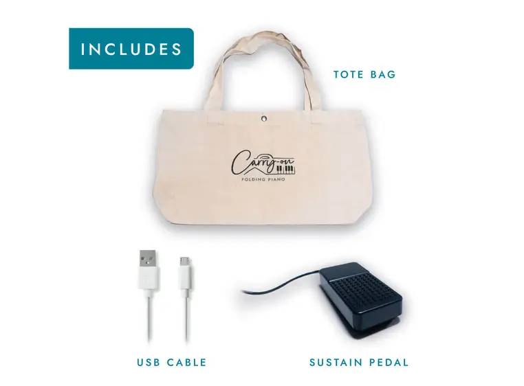 Blackstar Carry-on Folding Piano FP88T Black med anslagsfølsomhet 