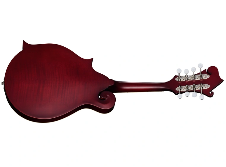 Epiphone F-5 Studio Wine Red Satin 