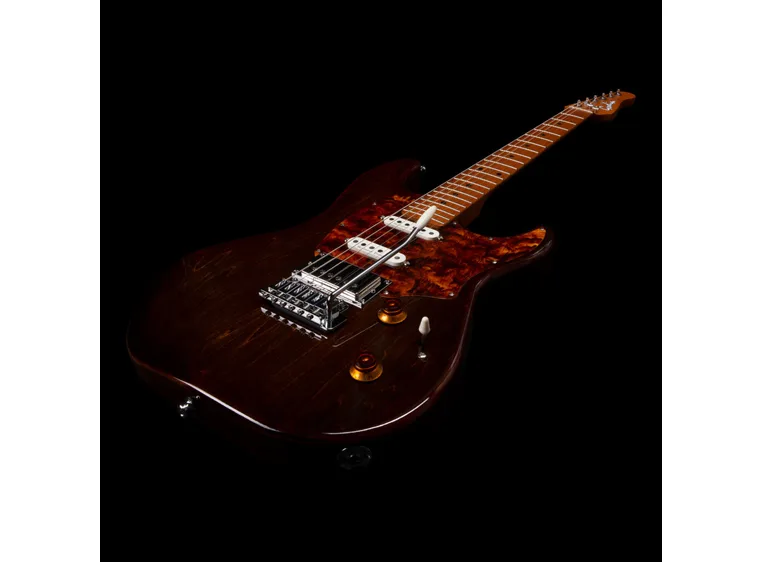Godin Session T-Pro LTD Kanyon Burst MN 