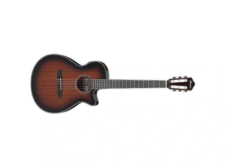 Ibanez AEG74N-MHS Nylonstrenger med mik 