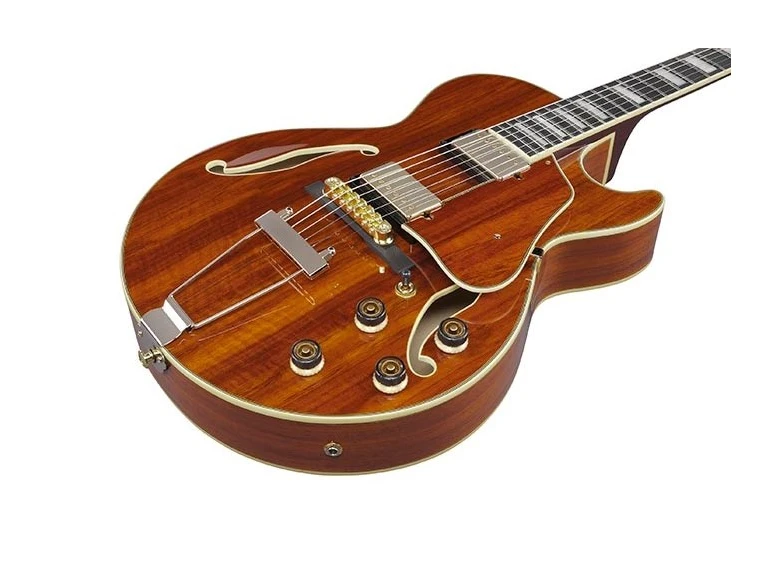 Ibanez AG95K-NT Artcore Expressionist 