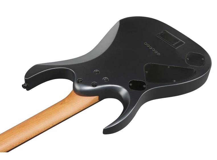 Ibanez RGD61-BAM Elgitar RGD Axion Label 