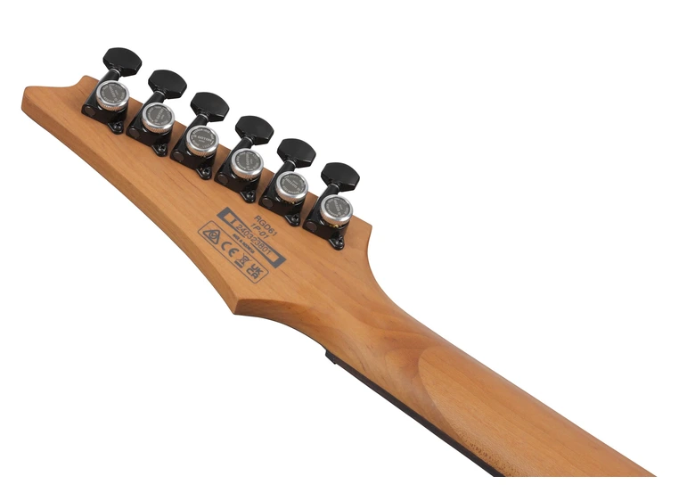 Ibanez RGD61-BAM Elgitar RGD Axion Label 