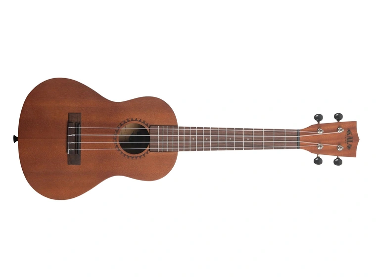 Kala Kala-LTP-C Learn To Play Concert Ukulele Starter Kit 