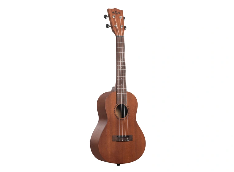 Kala Kala-LTP-C Learn To Play Concert Ukulele Starter Kit 