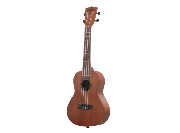 Kala Kala-LTP-C Learn To Play Concert Ukulele Starter Kit 