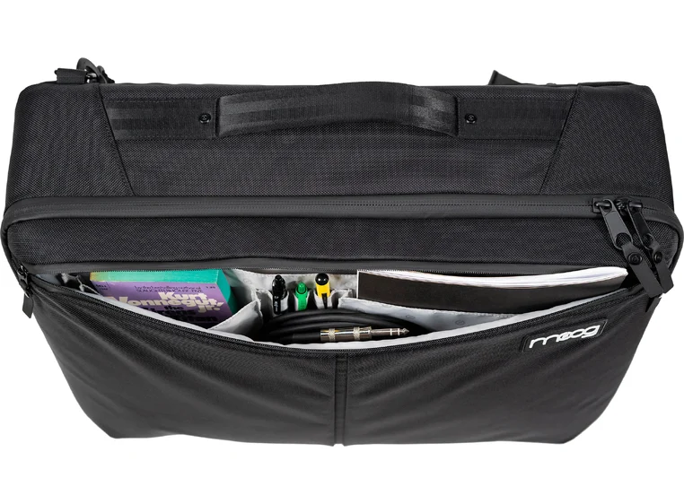 Moog Subsequent 25 SR Series Case 