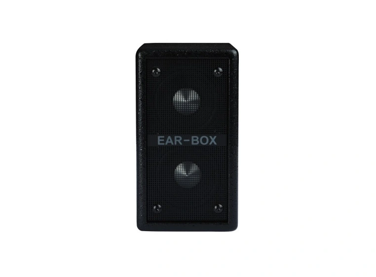 Phil Jones Bass Ear-Box EB-200 2x2" Kabinett 